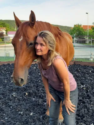 Bild: Reitercoaching und der Blick auf das System Pferd und Mensch