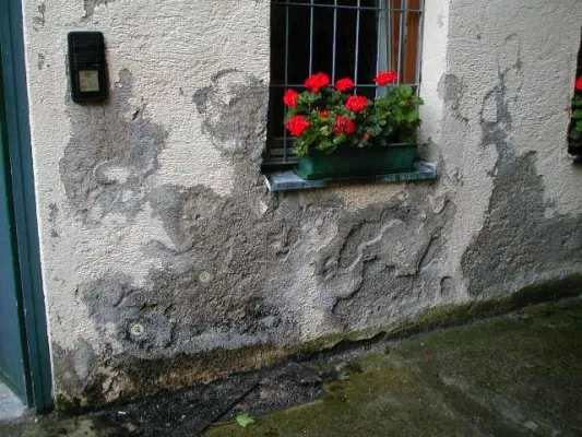 Gesund wohnen in Altbauten. Mit alten und kranken Häusern richtig umgehen Bild: Gesund wohnen in Altbauten. Mit alten und kranken Häusern richtig umgehen