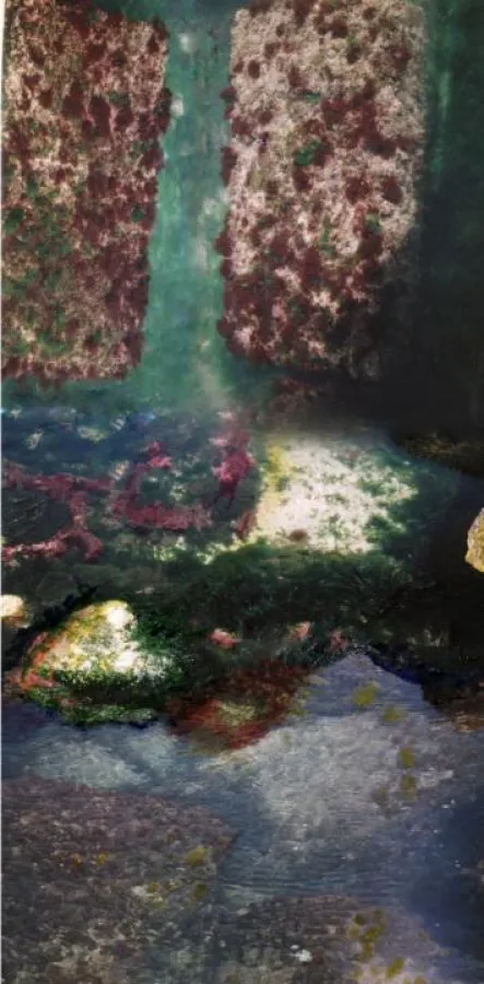 EDHE POSHTË UJIT JETA ËSHTË SHUMËNGJYRËSHE AUCH UNTER DEM WASSER IST DAS LEBEN BUNT (UNTERWASSERAUFN