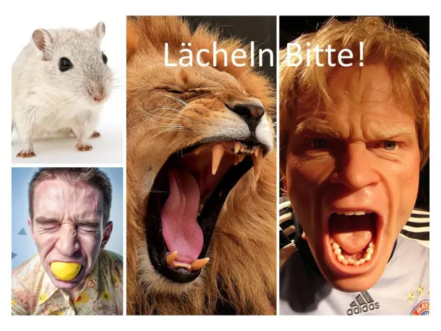 Mach mir den Löwen Bild: Mach mir den Löwen