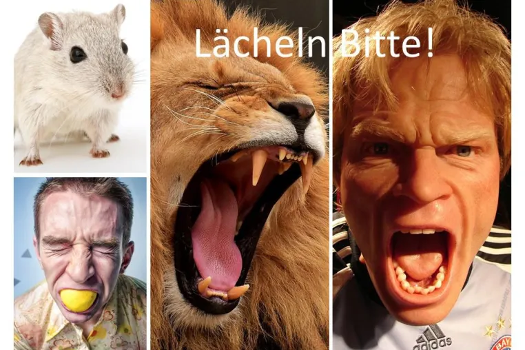 Mach mir den Löwen Bild: Mach mir den Löwen