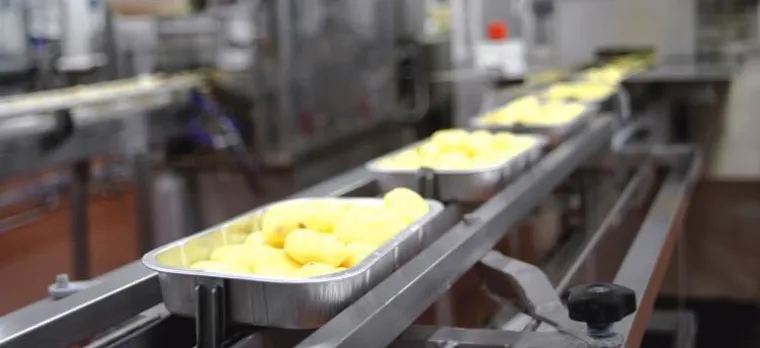 Bild: Welternährungstag und Lebensmittelsicherheit