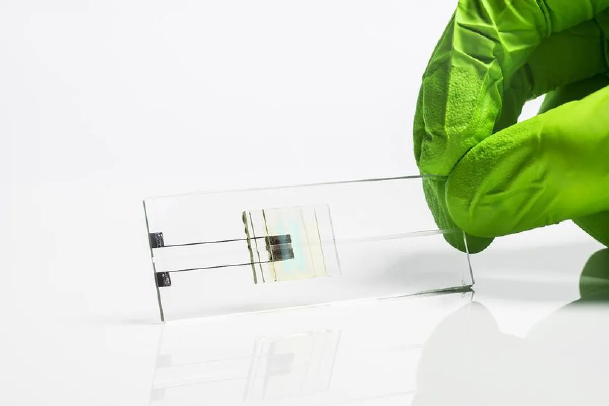 Labor im Taschenformat (© Fraunhofer IOF)