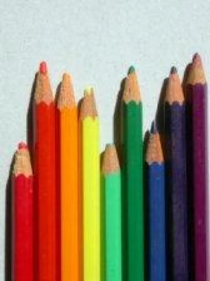 Diagramme und Auswertungen zum Preisniveau bei Hausverwaltungen erleichtern den Überblick