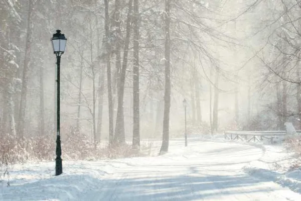 Bild: Harzwinter - Winterharz//Winterwanderungen mit Fährtensuche und Wellness