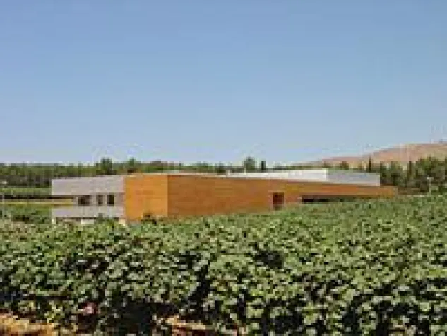 Bild: Spitzenweine vom Dach Israels