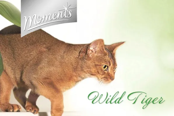 Design Ahead entwickelt POS-Filme für Moments Highpremium Katzennahrung Bild: Design Ahead entwickelt POS-Filme für Moments Highpremium Katzennahrung