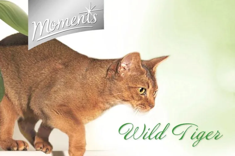 Bild: Design Ahead entwickelt POS-Filme für Moments Highpremium Katzennahrung