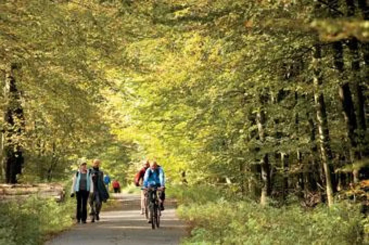 Neue Hannover-Broschüre weist Radfahrern mit sechs ausgewählten Routenvorschlägen die schönsten Wege durch Stadt und Region