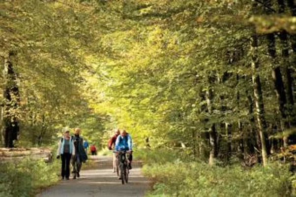 Bild: Hannover sattelt auf