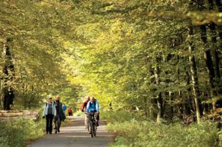 Hannover sattelt auf Bild: Hannover sattelt auf