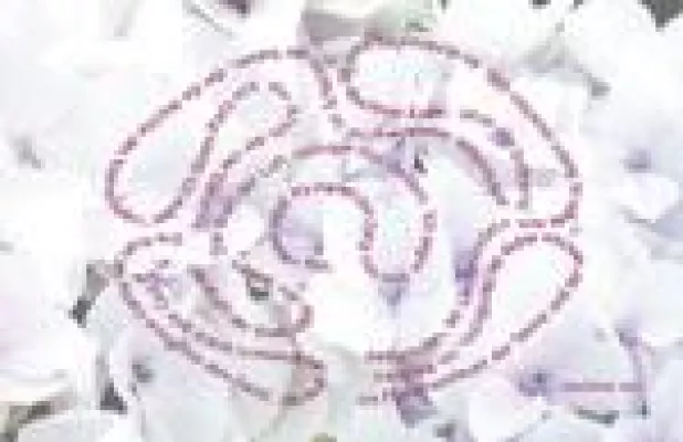 Geistreich - die Schamanin des Wortes und ihr Garten der friedfertigen Gedanken Bild: Geistreich - die Schamanin des Wortes und ihr Garten der friedfertigen Gedanken