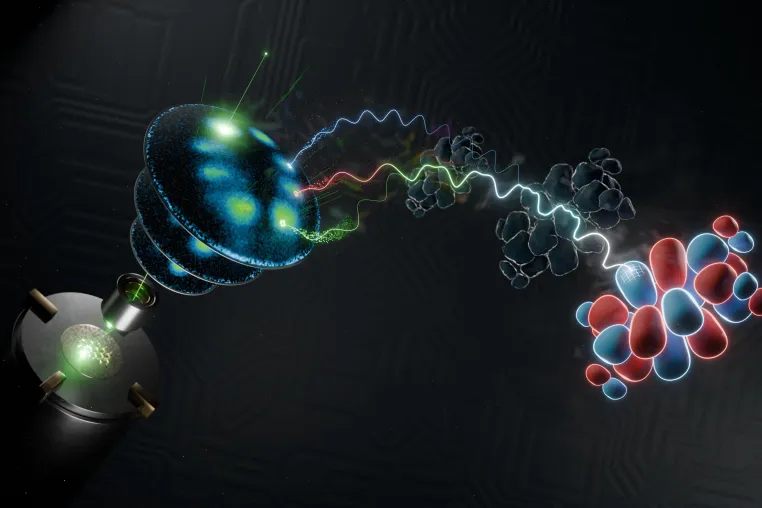 Blick hinter die Kulissen: Elektronenorbitale im Experiment Bild: Blick hinter die Kulissen: Elektronenorbitale im Experiment