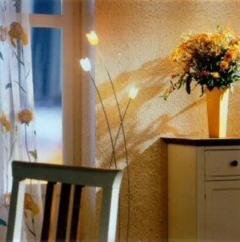 Bild: JaDecor - Feuchtigkeitsschlucker an der Wand