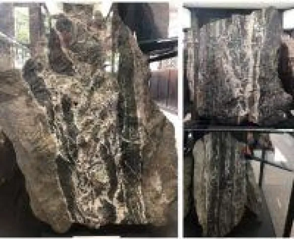 Excellon Resources gibt dem Silberbergbau im sächsischen Freiberg eine neue Chance Bild: Excellon Resources gibt dem Silberbergbau im sächsischen Freiberg eine neue Chance