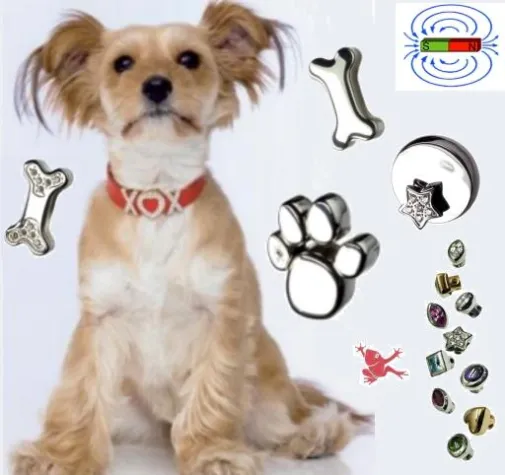 Bild: Neue Energetix - Magnetschmuck – Frühjahrskollektion