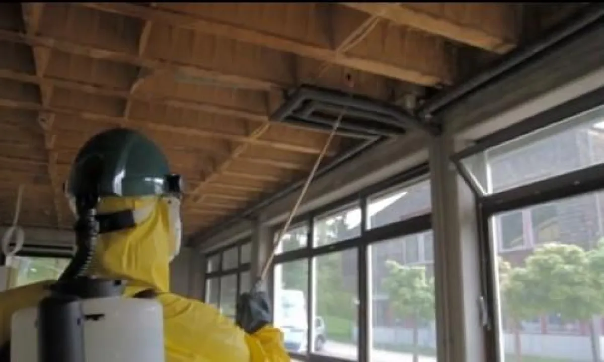 Abtöten und Entfernen von Schimmelpilz auf einer Blindschalung