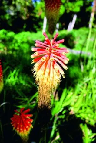 Bild: Wandern auf heißen Sohlen