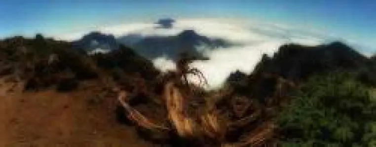 Bild: Schweigend wandern auf La Palma