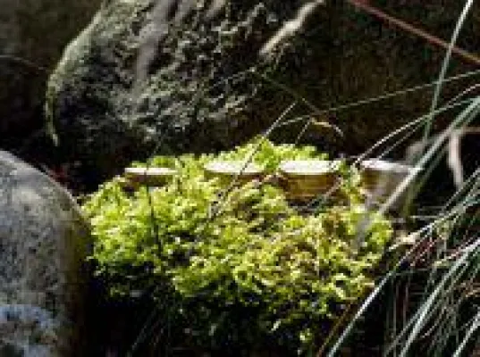 50plus und das liebe Geld Bild: 50plus und das liebe Geld