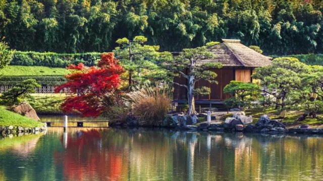 Bild: Bonsai, Bambus & Zen – eine Reise zu Japans schönsten Gärten