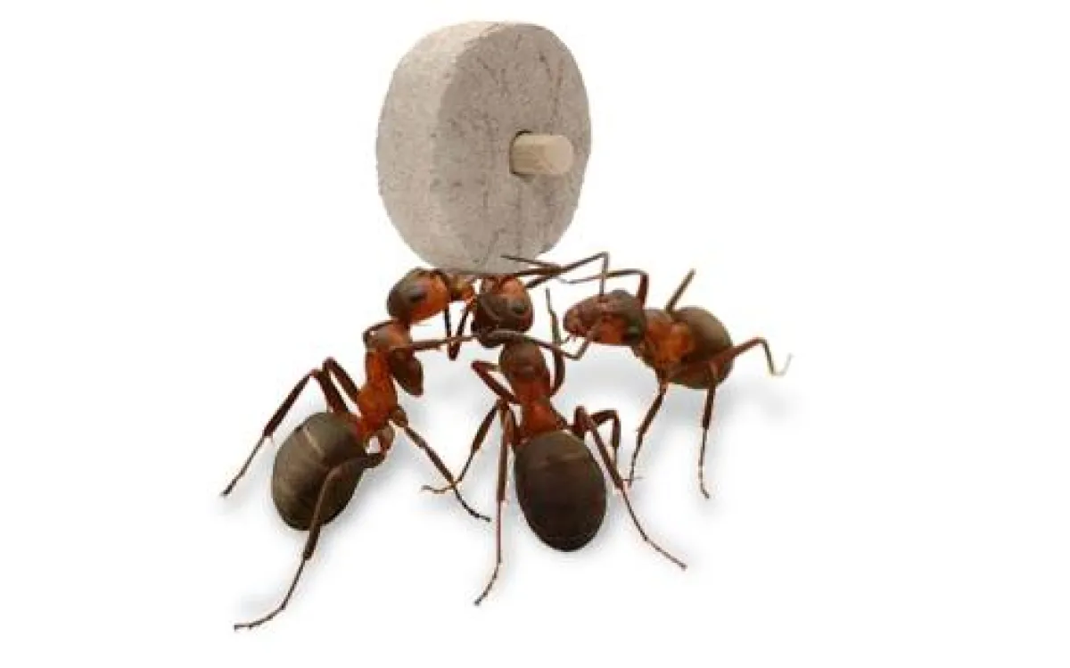 Mit ERP werden komplexe betriebliche Abläufe steuerbar