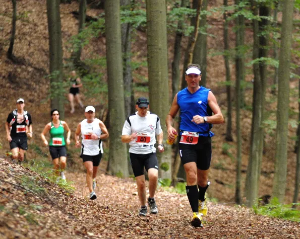 Bild: Pfälzerwald-Marathon 2025: Laufen in einmaliger Natur 