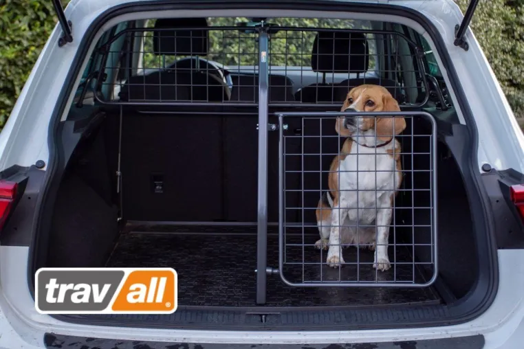 Bild: Sicher und entspannt mit Hund in den Herbsturlaub
