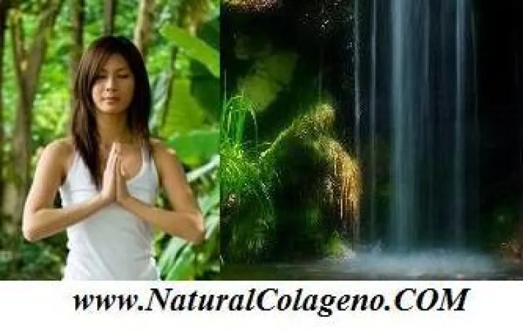 Ganzheitlich schön – NaturalColageno.COM zeigt die erfolgreichsten Methoden Bild: Ganzheitlich schön – NaturalColageno.COM zeigt die erfolgreichsten Methoden