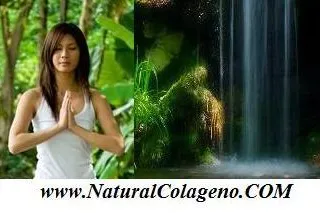 Bild: Ganzheitlich schön – NaturalColageno.COM zeigt die erfolgreichsten Methoden