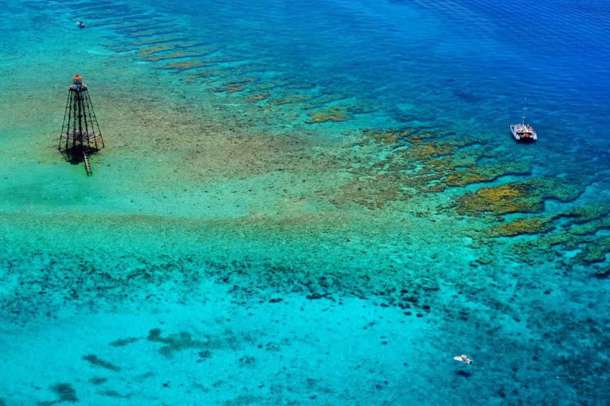 Riff vor den Florida Keys (c) Rob O'Neal