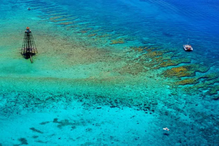 Bild: Mission: Iconic Reefs