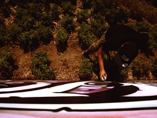 Bild: Inselpark-Konzerte 2019: Hip Hop Blockparty am 11.08.