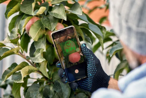 Forschungs- und Innovationsfabrik für KI & Mikroelektronik startet – erstes bewilligtes Modul AI-DISCO nimmt Arbeit auf Bild: Forschungs- und Innovationsfabrik für KI & Mikroelektronik startet – erstes bewilligtes Modul AI-DISCO nimmt Arbeit auf