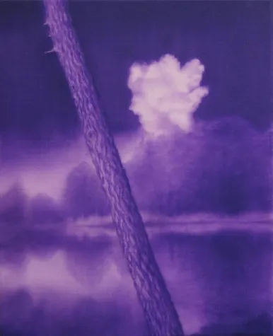 Bild: Miracle Goodnight, Eröffnung am 19.03.2015