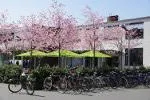 Veterinärmedizinische Ausbildung- VMTA als Beruf oder als gute Vorbereitung aufs Studium Bild: Veterinärmedizinische Ausbildung- VMTA als Beruf oder als gute Vorbereitung aufs Studium