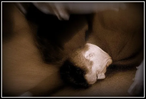 Bild: "Gefährliches Spiel" Die VB Thalia im Theater in der Marschnerstrasse