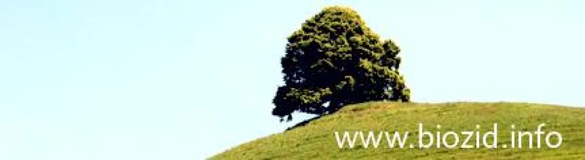 Allles zum Thema Biozide bietet das Biozid-Portal des Bundesumweltamts