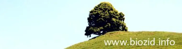 Bild: 3pc launcht Biozid-Portal des Umweltbundesamtes