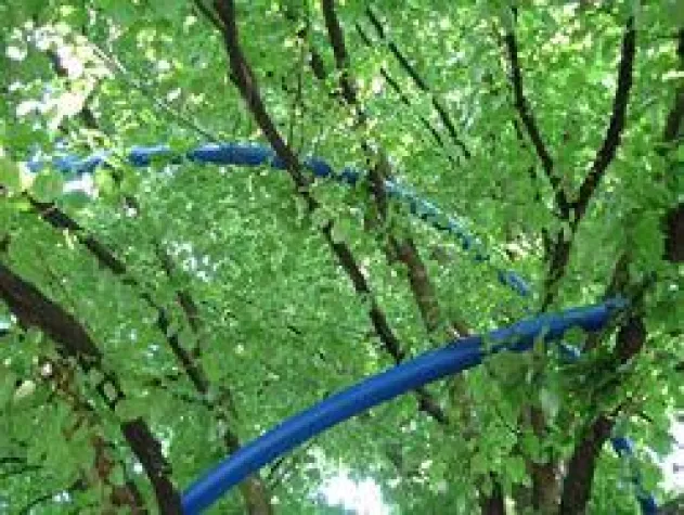 Bild: 0,2 bar Überdruck- Der Fleckenstein Himmelsentfeuchter in Schwetzingen