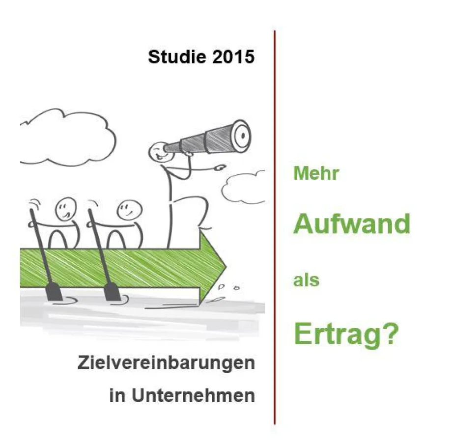 SMS Consulting Zielestudie 2015