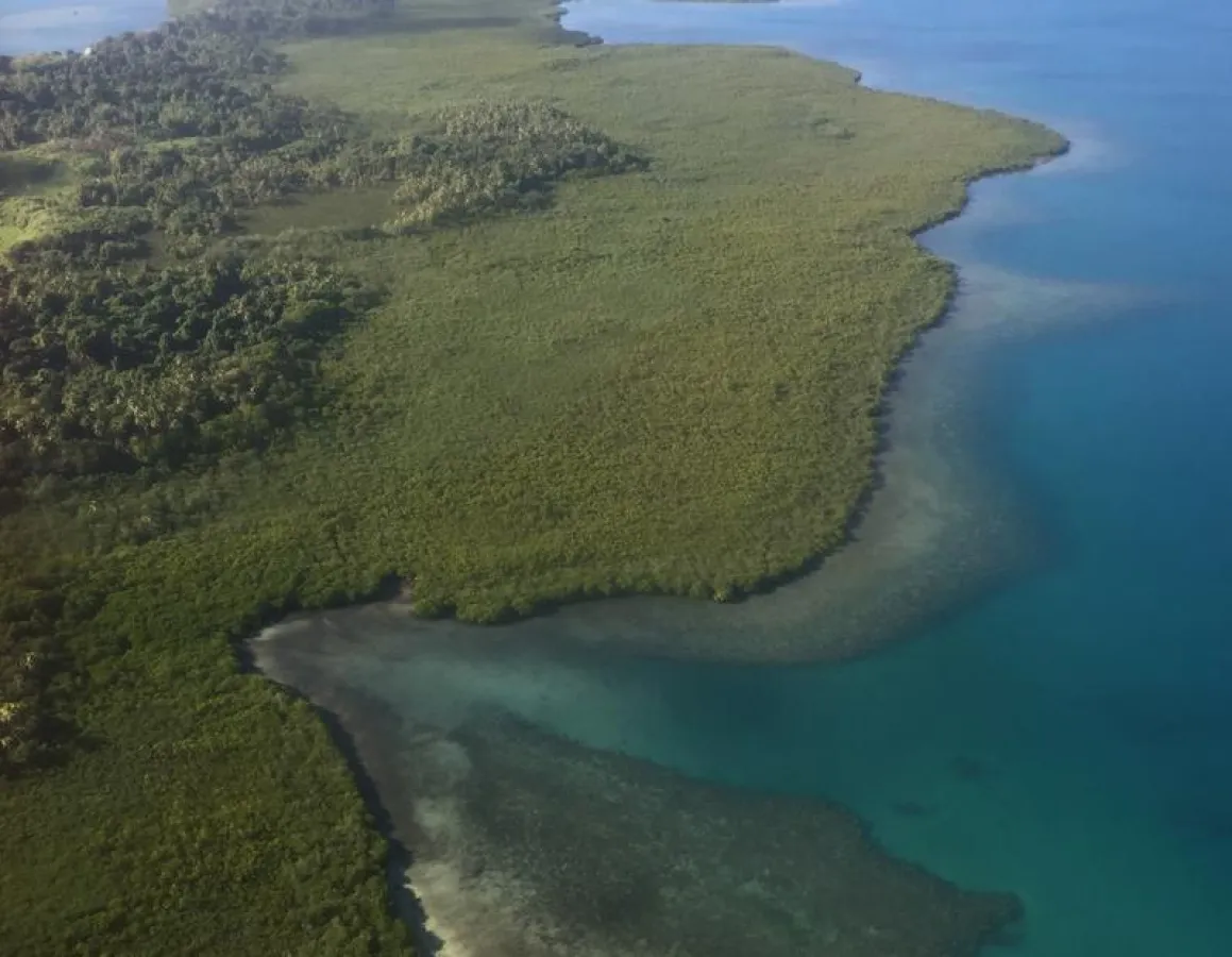 Aerial image of the coast in the east of the island Viti Levu in Fiji (Photo: Sebastian Ferse, ZMT)