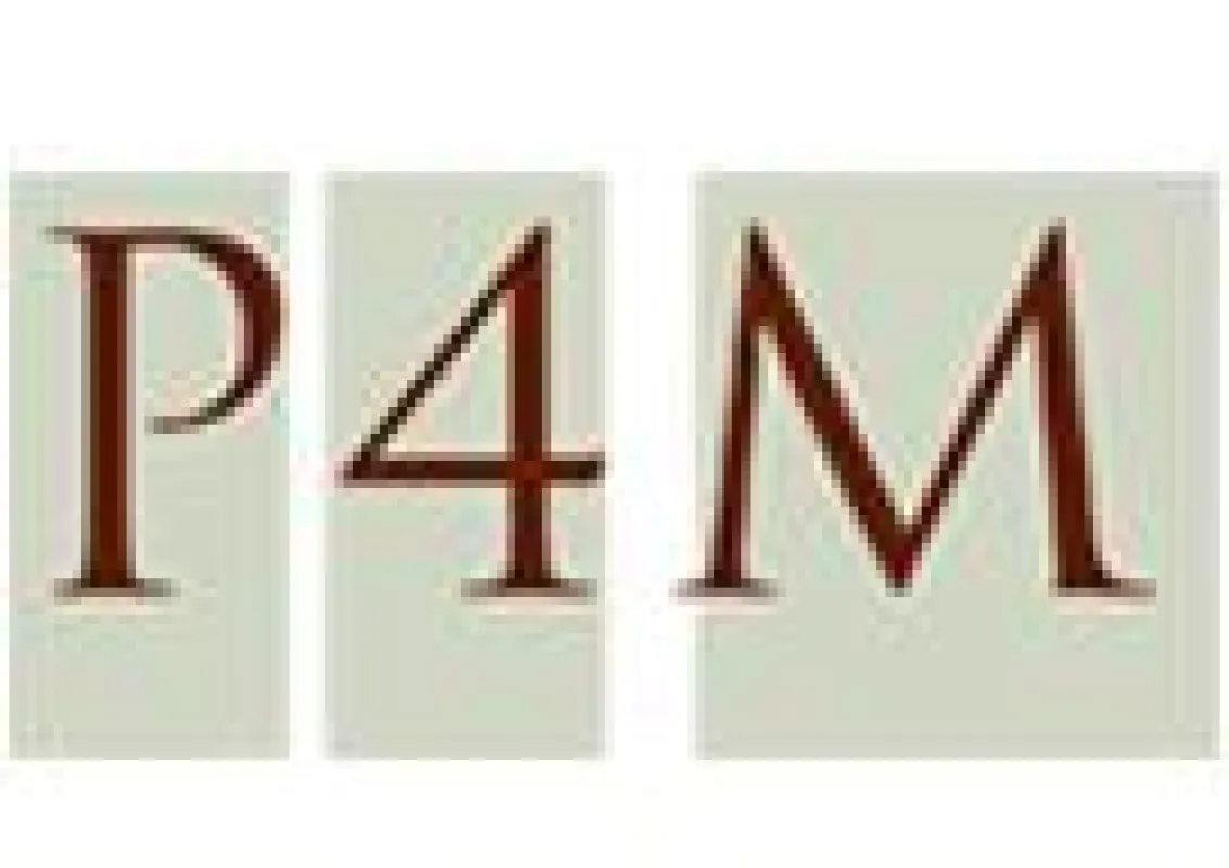 P4M - Die InternetAgenten