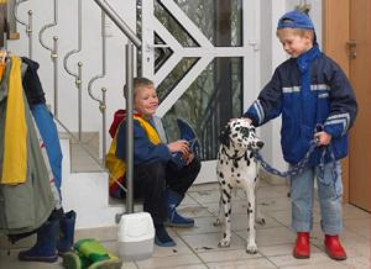 Der Ceresit Luft-Entfeuchter mit den passenden Power TABs 2in1 nimmt überschüssige Feuchtigkeit auf. Foto: Henkel Ceresit