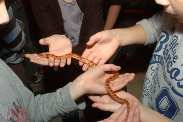 Bild: Vom Vier- bis zum Vielfüßer: „Tierisch“ Leben und Genießen 2011