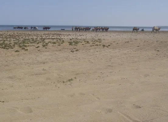 Bild: Der Nord-Aralsee hat wieder Sauerstoff: physikalischer Zustand ähnlich wie vor der Austrocknung