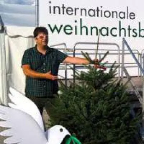 Umweltfreundliche Weihnachtsbäume Bild: Umweltfreundliche Weihnachtsbäume