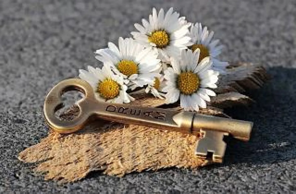 Bild: pixel2013 / pixabay.com