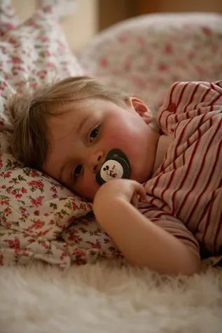 Bild: Kritik der Waldorfverbände am neuen Förderprogramm KitaPlus