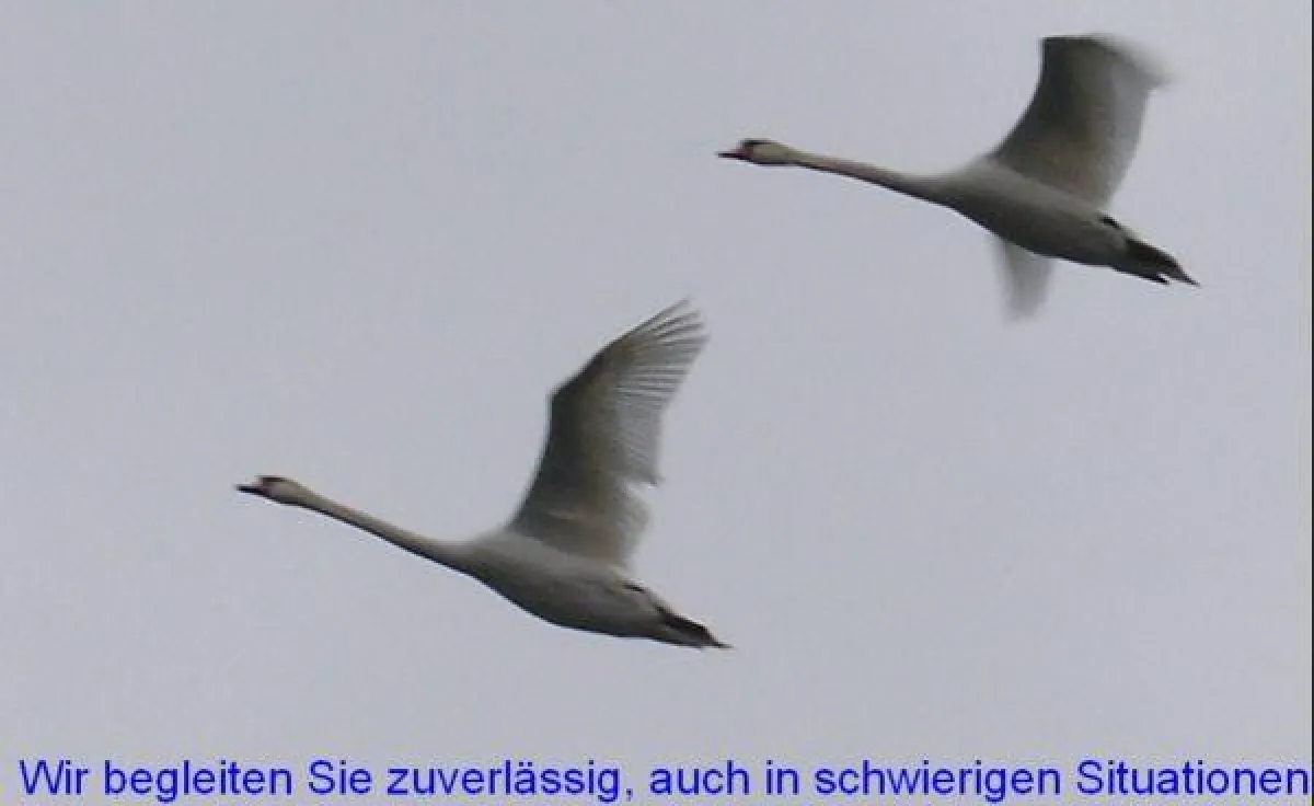 Wir helfen unseren Teilnehmern, auch in schwierigen Situationen
